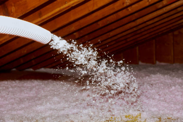Best Insulation Installation Services in Pittsboro, NC
