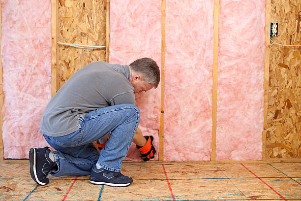 Best Insulation Materials and Products in Pittsboro, NC